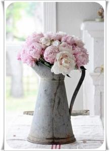 559869_345619732214552_1028768719_n