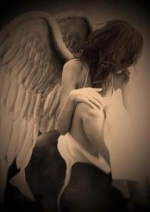 21236_361379237285328_1817887894_n