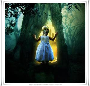 541082_292026194240573_538168087_n