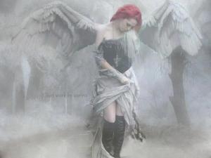 58214_275415962584356_346278138_n