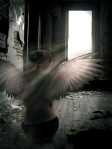 536167_300368163419285_135863332_n