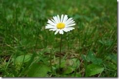 y1panS-F7-c5DINlrbDhCq9CFgi9WPPqW2W1HRV81EAFpVBk5-UKKGW7mFTuvE1JNScrpfr_vwg5FM