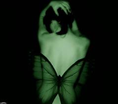 1043862_451570734939309_1102420412_n