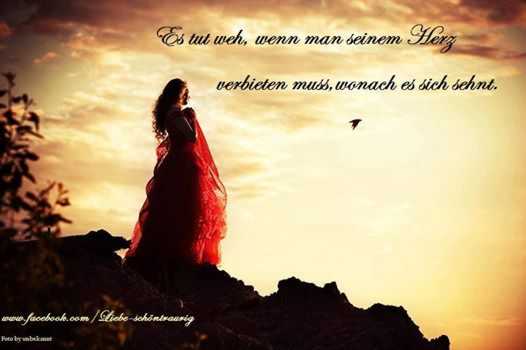 534029_382910881831679_835461832_n