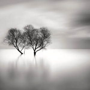 artlimited_img263549