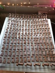 1464668_10202435752235796_930400972_n