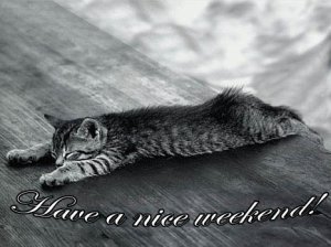 1053363530endlich_wochenende-1