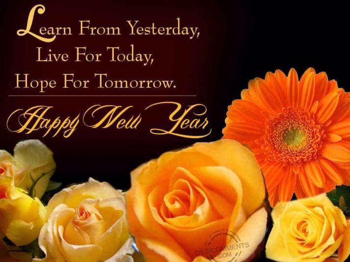 1157499_10202636663258446_402204066_n