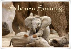 1237369_402794486486958_979874814_o