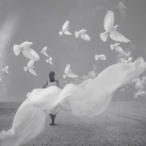 11351261_854184414668459_7620312699154883663_n