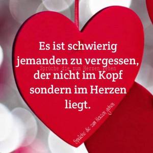 12390887_478229245635344_5430647011165948932_n