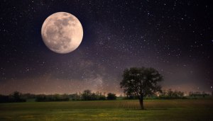 supermond-november-2016-595